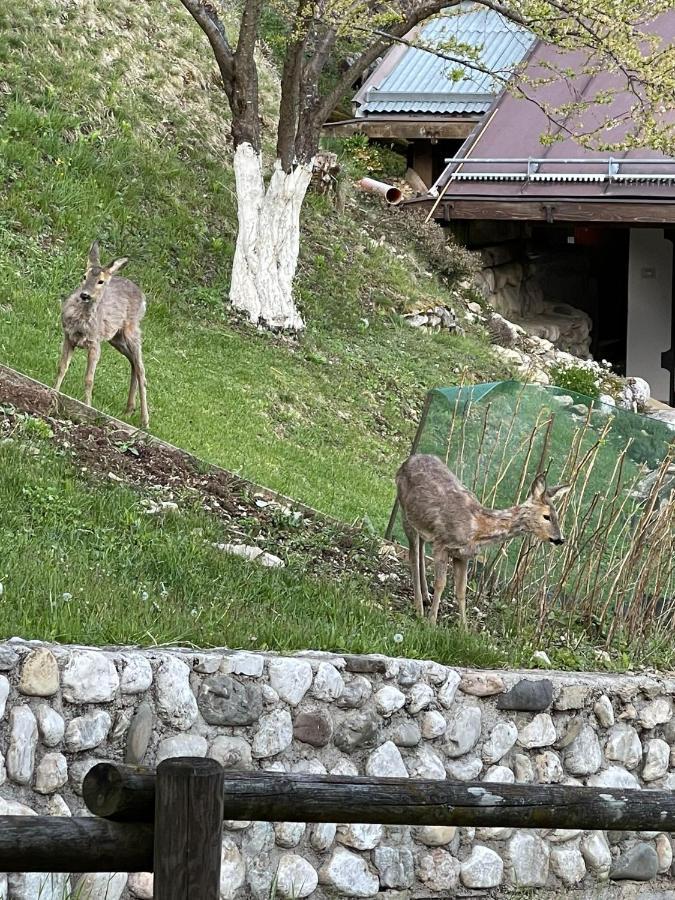 Appartamento In Montagna Venas Exterior photo